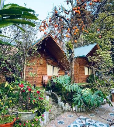 Nobita Homestay bắc hà