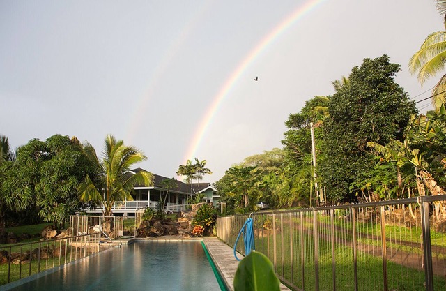 North Shore Tropical Hale