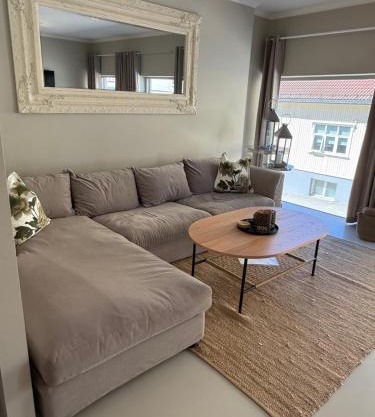 Notodden Sentrum Apartment NO 2