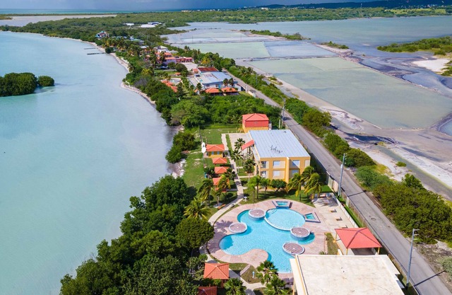 Ocean Front 1BR Apt 2