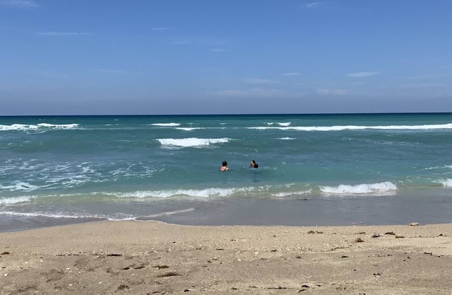 Ocean view oasis