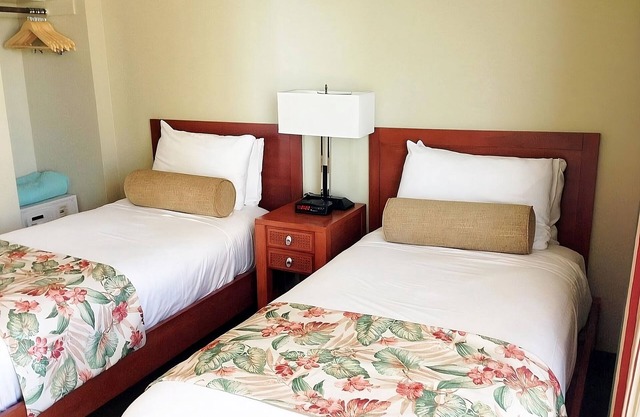 Ocean View Suites | 2 Units | Rooftop Pool | Full Kitchen | Waikiki Beach