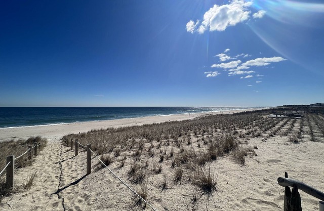 Ocean View Beach Cottage W/Shared "Private" Beach #2