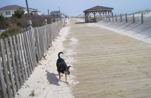 Oceanfront Oceanview Duplex on the Boardwalk (2 Units available)