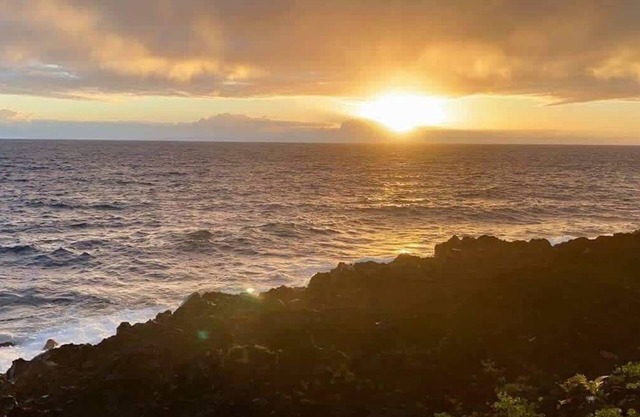 Oceanfront studio see whales and dolphins