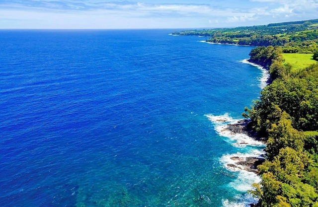 Oceanfront "Treehouse" at Hakalau cliffs