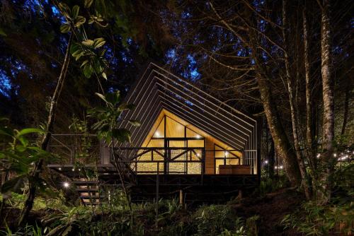 Oculto refugio de bosque