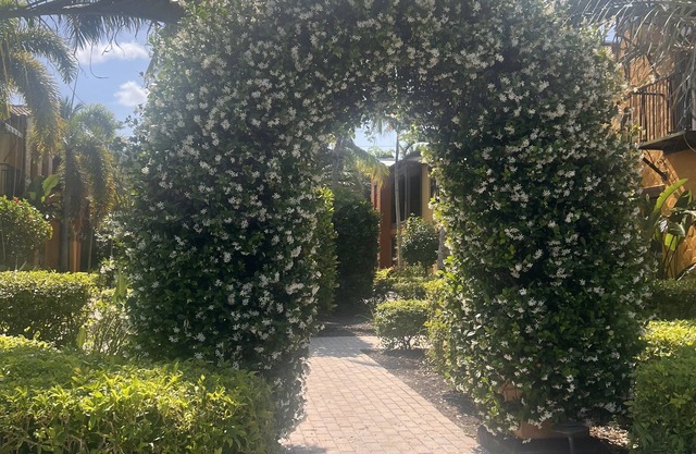 Ole' at Lely Resort -Resort-style living - 3 bedroom Townhouse