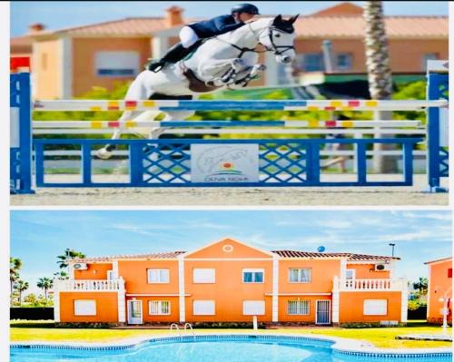 Oliva Nova Equestrian Apartment Next to MET Showground