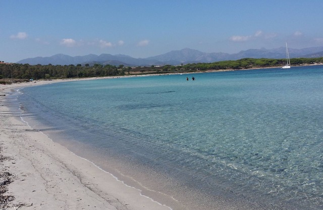 Olive tree * Studios * 800 m from the sea in Tanaunella Budoni