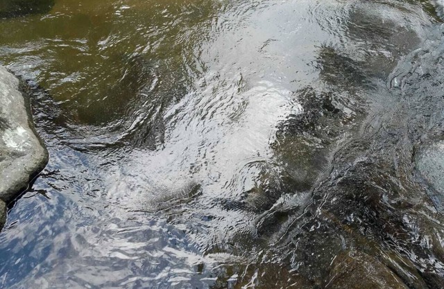 Onça Parda Hospedagens