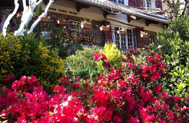 On the slopes of the Montagne Noire .,in Cabardes country .