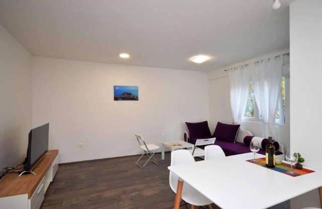 One Bedroom Apartment 1