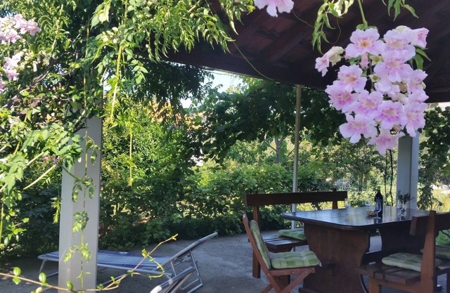 One bedroom apartment with terrace Mali Ston, Pelješac (A-10226-b)