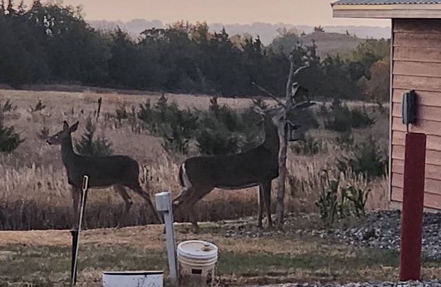 One4-bedroom cabins with WiFi and AC in Crofton, NE. Reserve for one night/more.