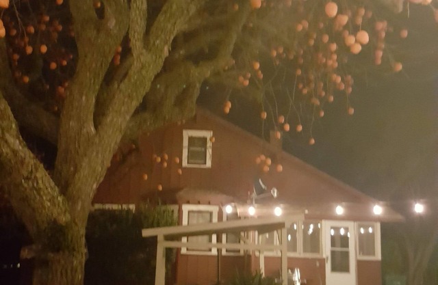 Orchard Road Cottage