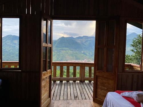 Oro Verde Noche De Luna