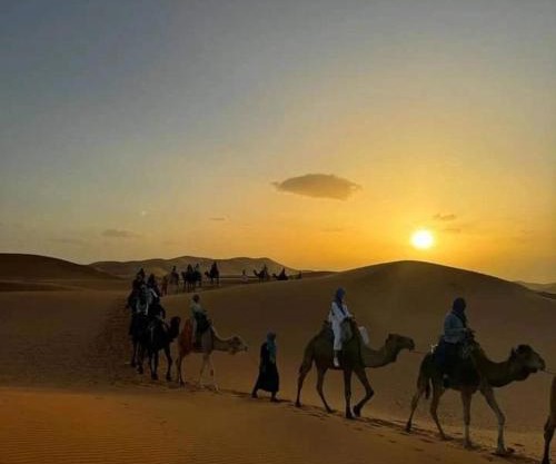 Ousaadi apertaments