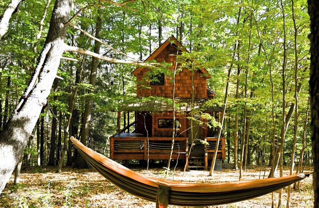 Out On a Limb — A Magical Treehouse Experience