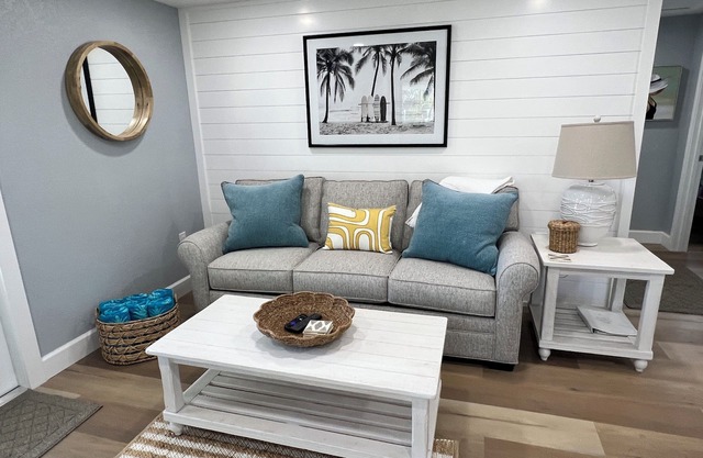 Oystercatcher at Shorebirds, Bikes and Kayaks 3 minutes walk to beach!