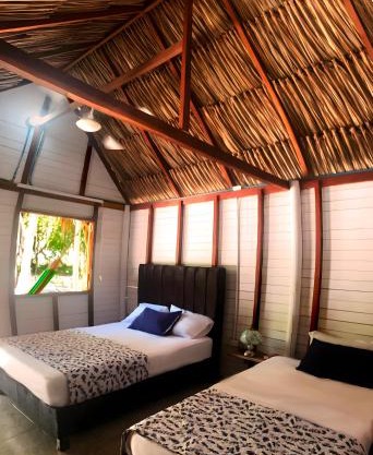 Palma Plata islas del Rosario