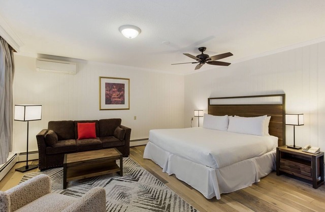 Palmer House Resort - Deluxe King Bed 3