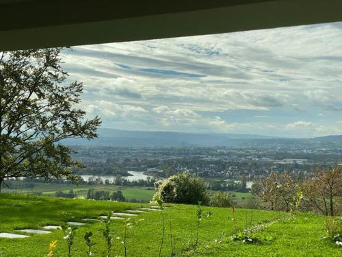 Panorama-Paradies im Rheintal