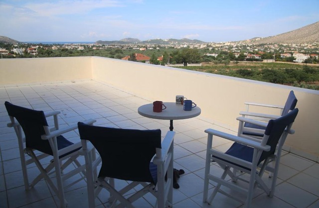 Panoramic view