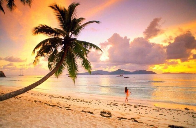 Paradise pisc aquecida, wi-fi, quintal e churrasqueira