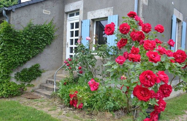 Parc Naturel Régional du Morvan. Meublé tourisme La JOTINE. 3 étoiles