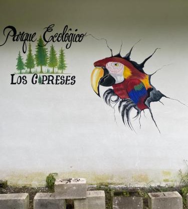 Parque Ecológico los Cipreses Volcán Pacaya