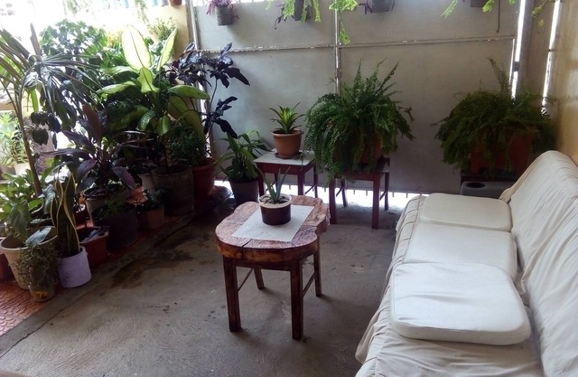 Patio De Joan