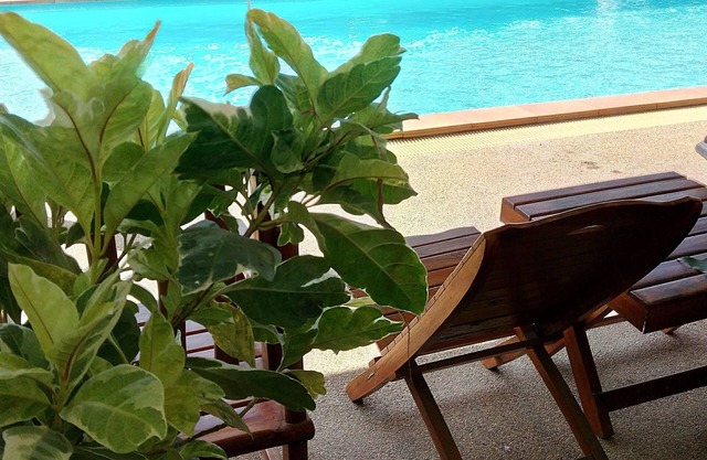 Peace Pool Resort