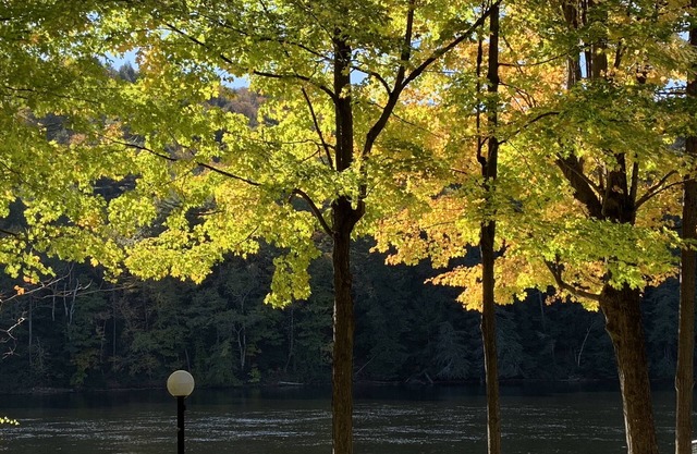 Peaceful Adirondack waterfront