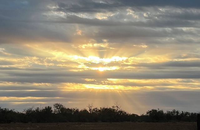 Peaceful and Charming cabin in Carrizo Springs