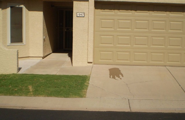 Peaceful and tranquil townhouse for seniors Heated pool/Spa gym. covered patio