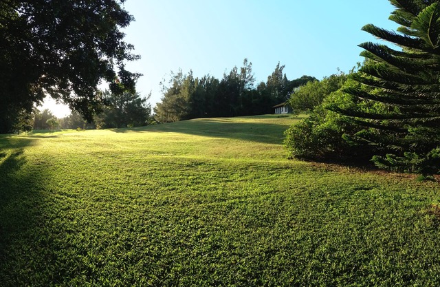 Peaceful & Private Studio - 12 Acre Hobby Organic Fruit Farm - Beach 10 minutes