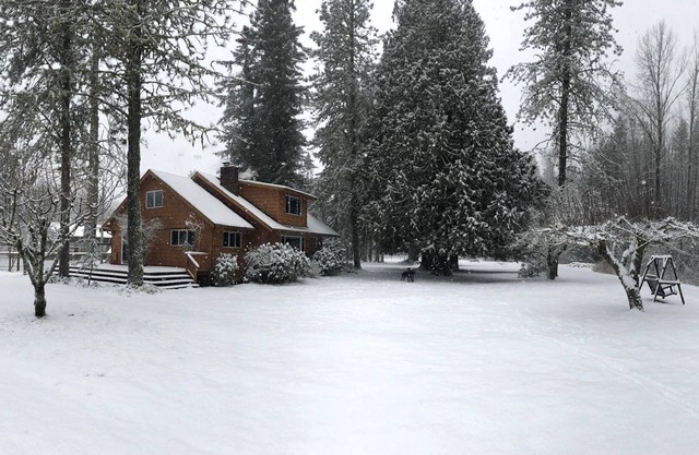 Peaceful, Private Woodland Retreat Suitable for Events