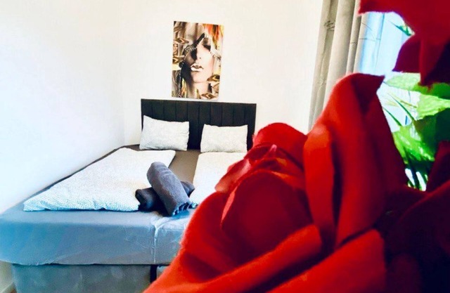 Peaceful Room for 2 in Spacious Shared Apartment