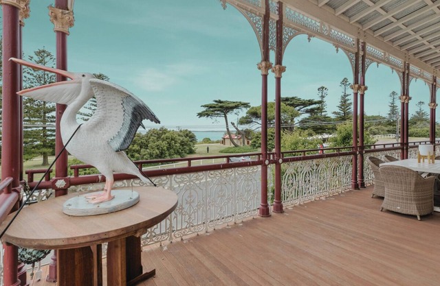 Pelicans at the Ozone