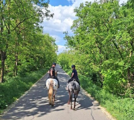 Penzion Horse Farm Lechovice