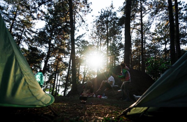 Persimmon Grove Retreat and Camp