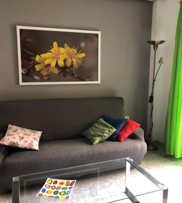 Peso de la Harina - piso completo