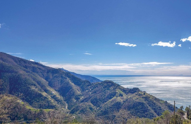 Pet friendly apartment in vernazza sp