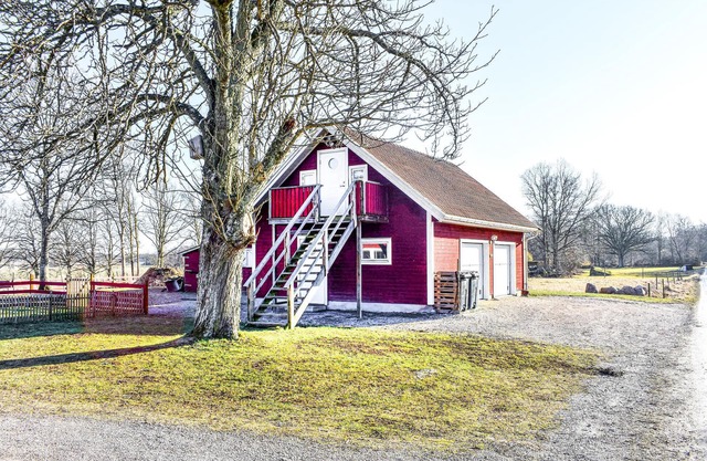 Pet friendly apartment in Johannishus