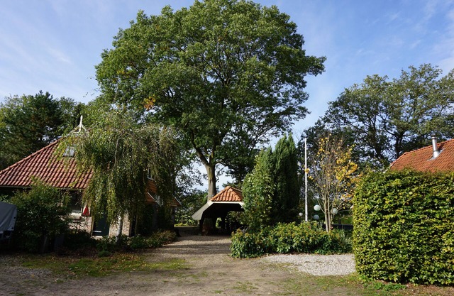 Pet-friendly farmhouse with a lot of privacy in a lakeside beach