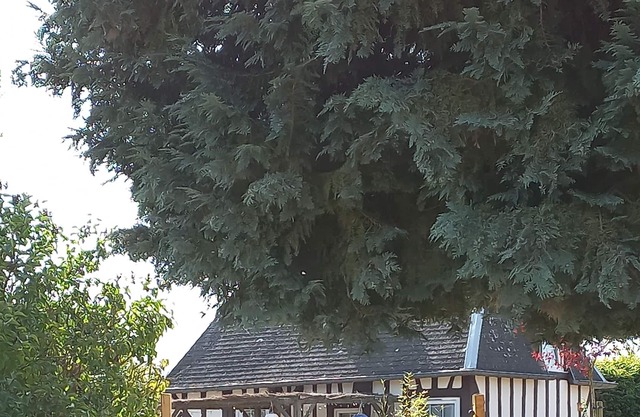 Petit Gîte de Charme Normand