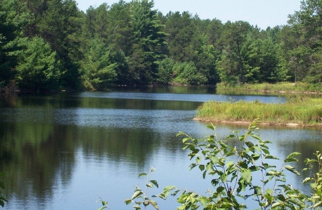 Pheasant Cottage- Cottages On Serenity Lake- has best view of Serenity Lake!