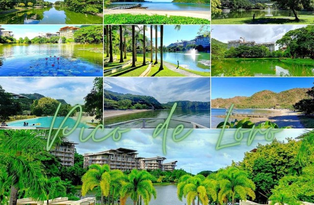 Pico de Loro Condo Accommodation for Rent