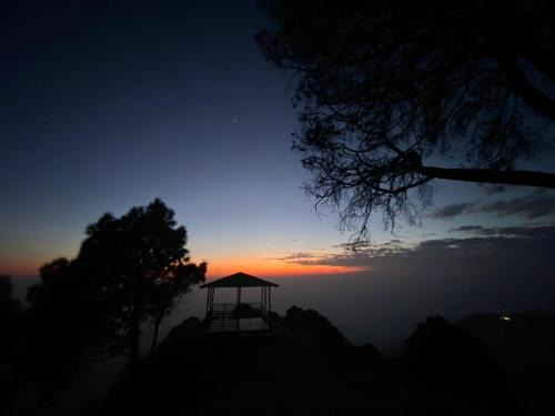 Pinewood Sunrise Homestay Kasauli